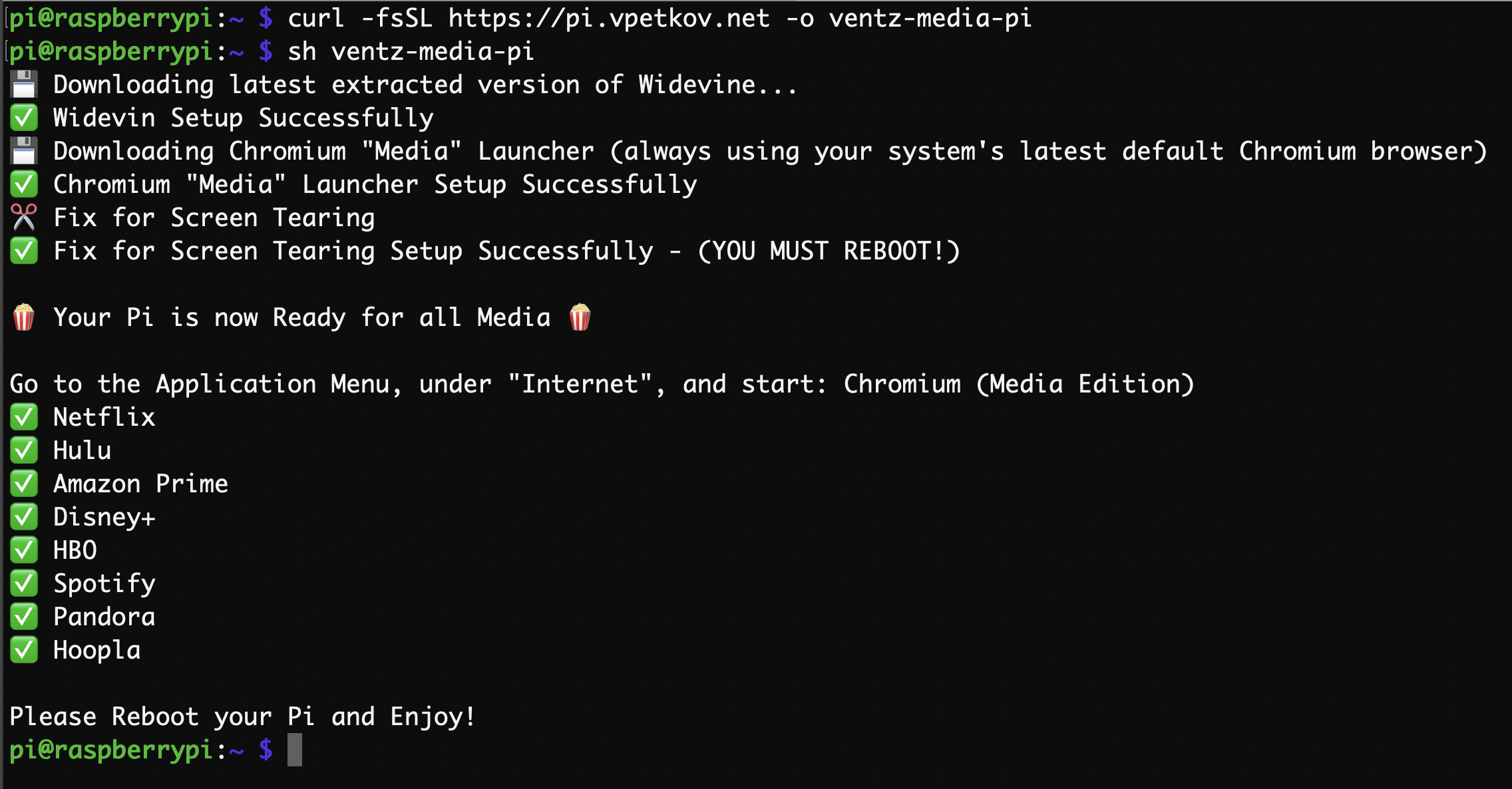 Raspberry Pi Netflix One Line Easy Install Along With Hulu Amazon Prime Disney Plus Hbo Spotify Pandora And Many Others Vpetkov Net